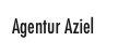 Agentur Aziel